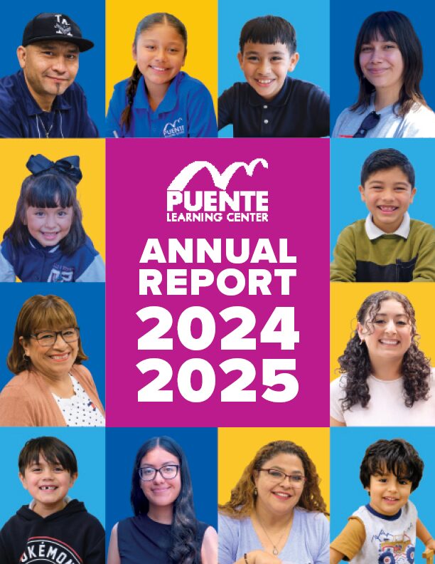 PLC_Annual Report 2024-25